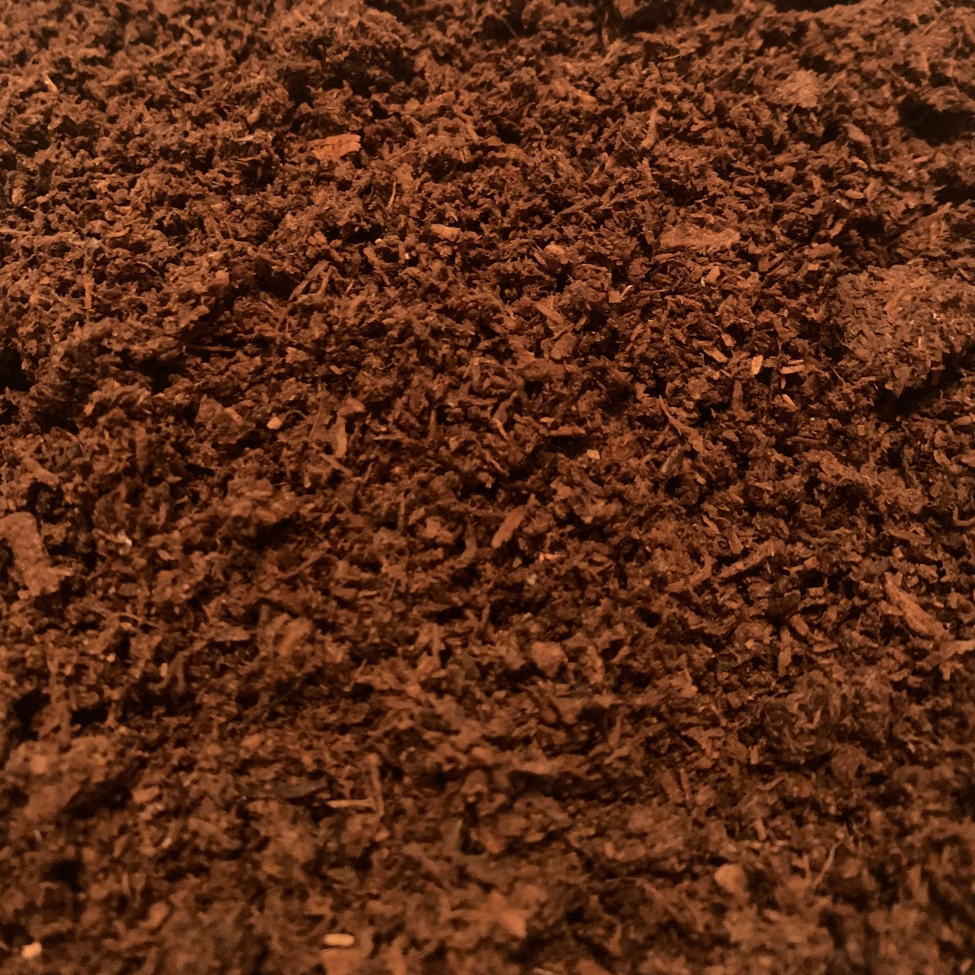 flake soil for beetles