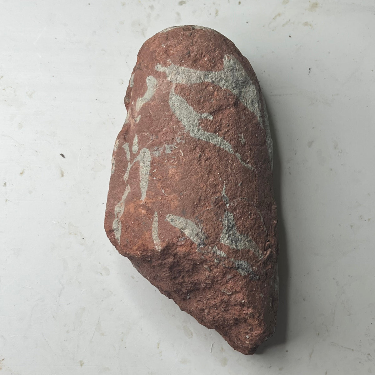 Macroolithus sp. (Oviraptor) - Chinese Dinosaur Egg