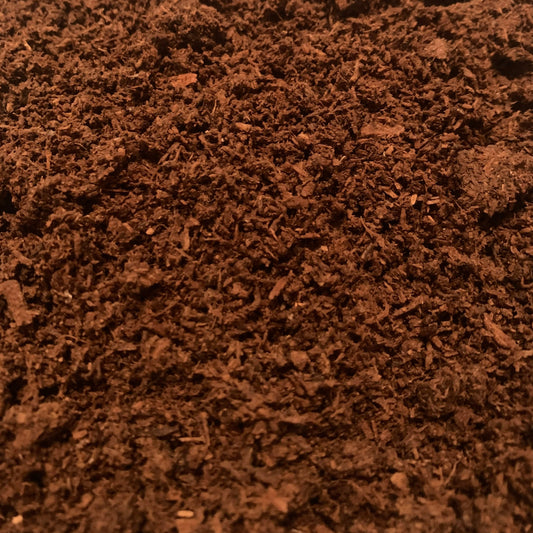 flake soil for beetles