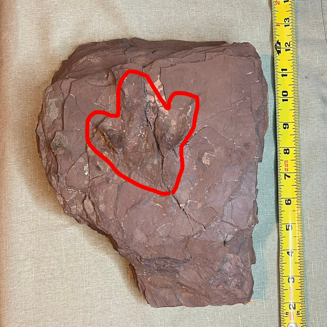 Conneticut dinosaur footprint