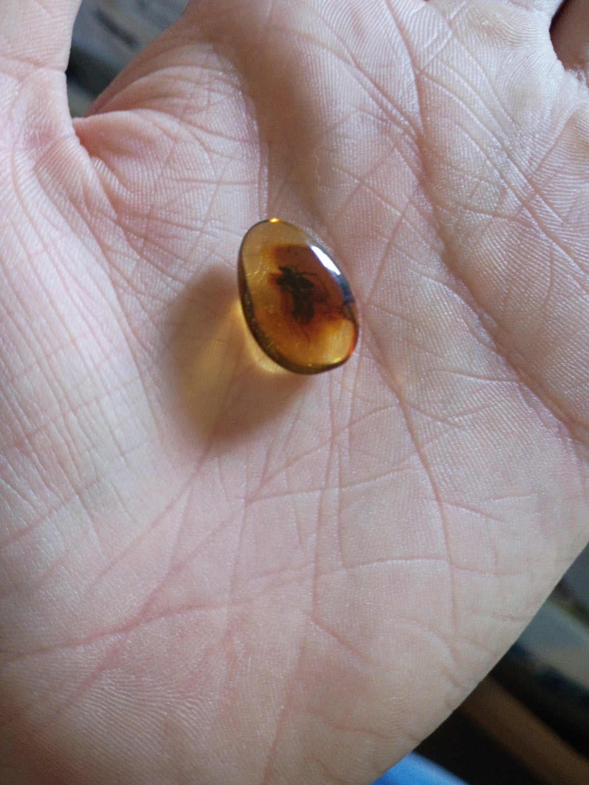 Insect inclusion amber - Russian