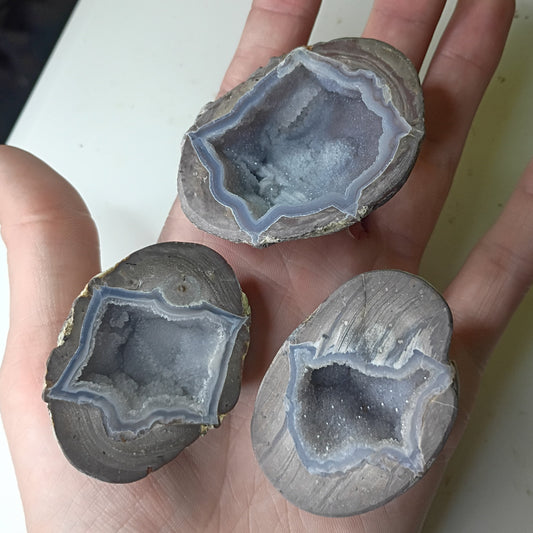 Thunder Egg (cut half)